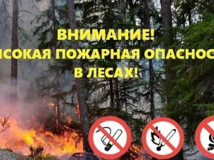 20-25 мая ожидается высокая (4-5 класс) пожароопасность